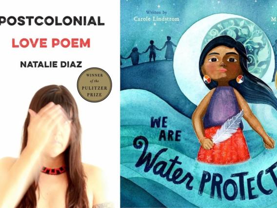 side by side book covers of postcolonial love poem and we are water protectors