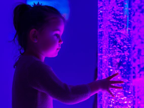 child touching the glass of an aquarium