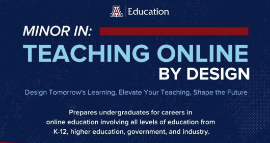 minor in teaching online by design