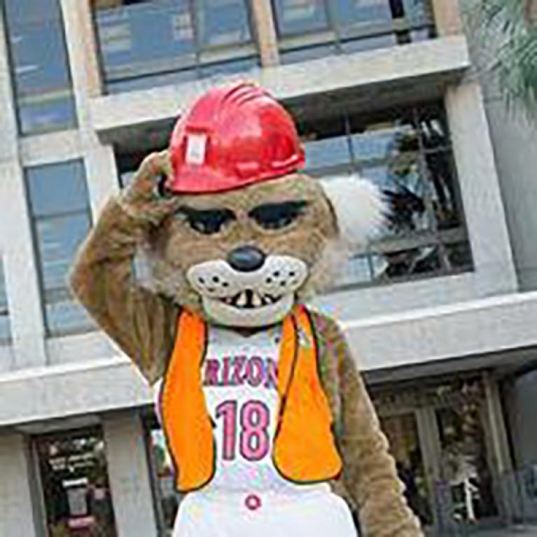 Wilber Wildcat in a construction hat
